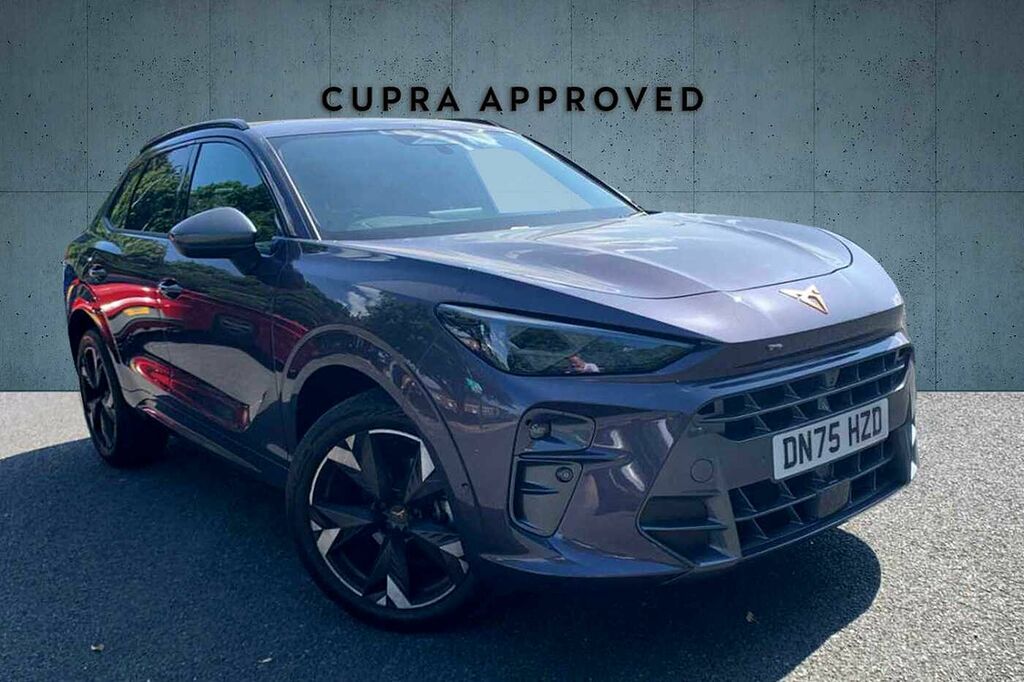Cupra Terramar 1.5 Etsi 150 V2 Dsg Purple