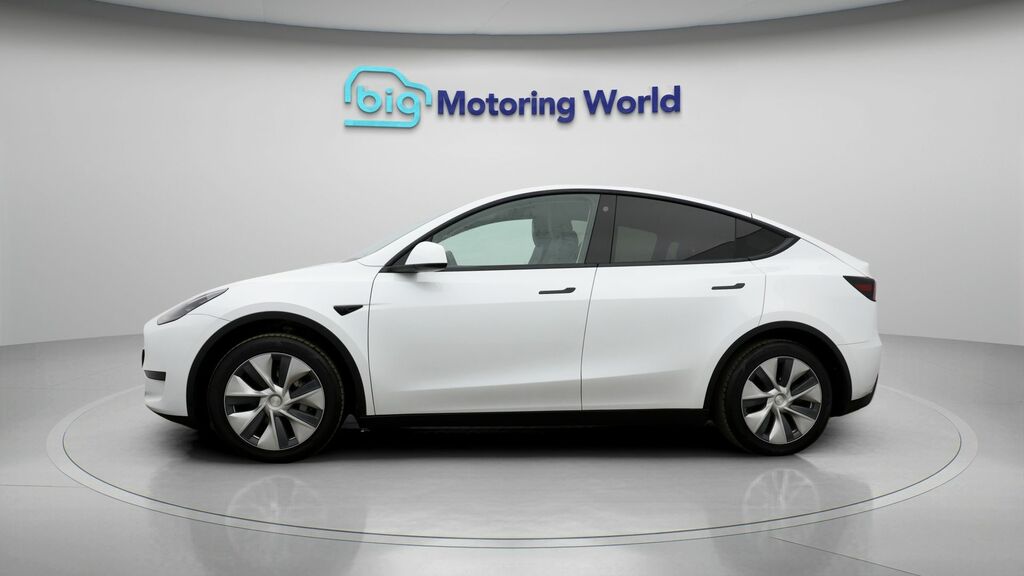 Tesla Model Y Y Model Y Rwd NL73YRP White #4