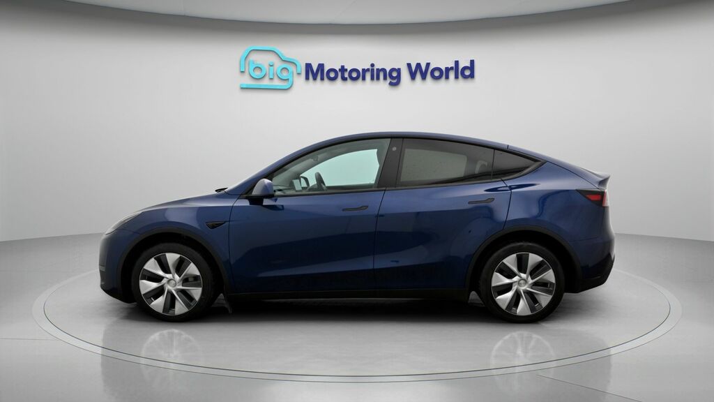 Tesla Model Y Long Range MV72PNY Blue #4