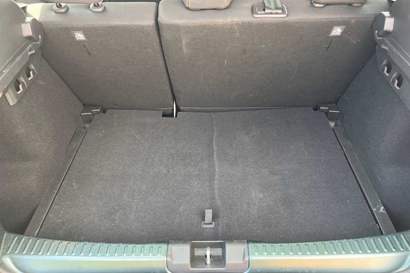 Dacia Sandero Stepway Hatchback Green #20