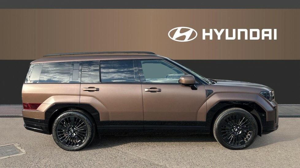 Hyundai Santa Fe Calligraphy LD75YGC Brown #5
