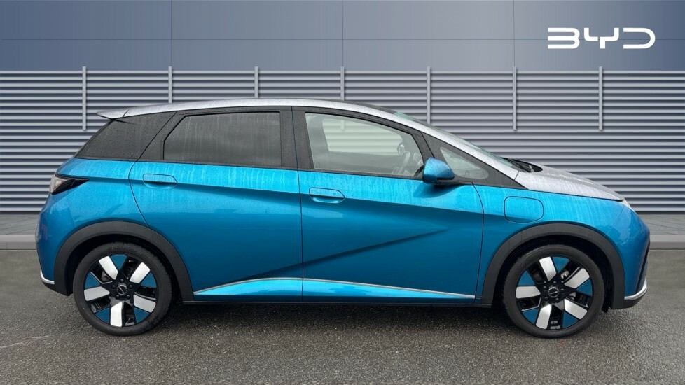 Byd Dolphin Design Blue #5