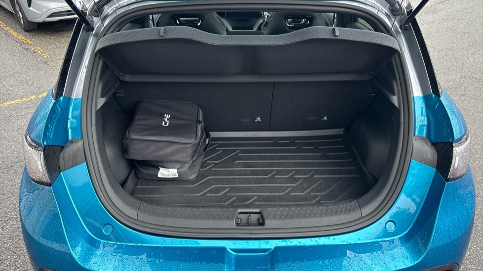 Byd Dolphin Design Blue #4