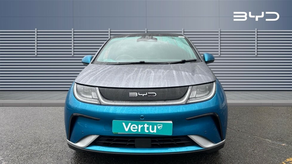 Byd Dolphin Design Blue #3