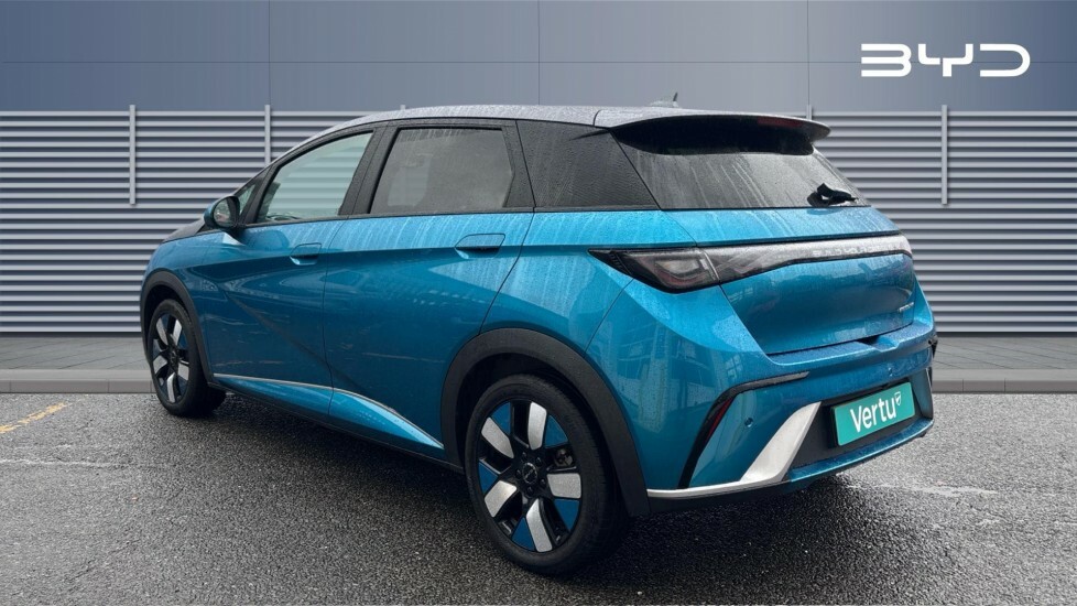 Byd Dolphin Design Blue #2