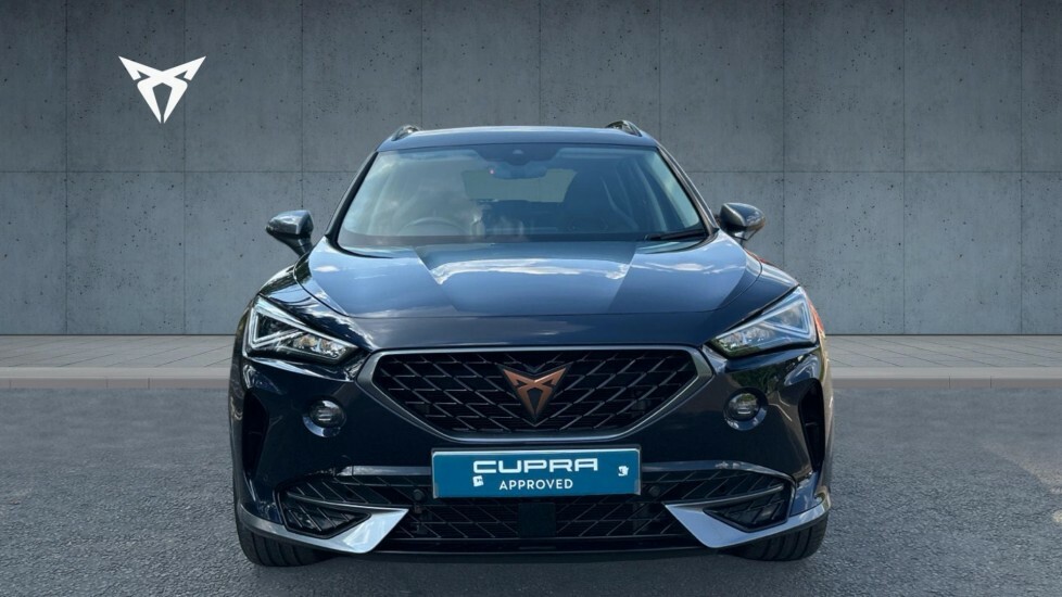 Cupra Formentor V1 Grey #7