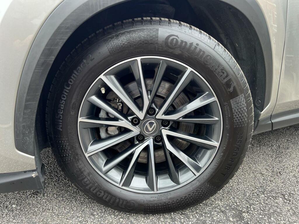 Lexus NX Suv Grey #34