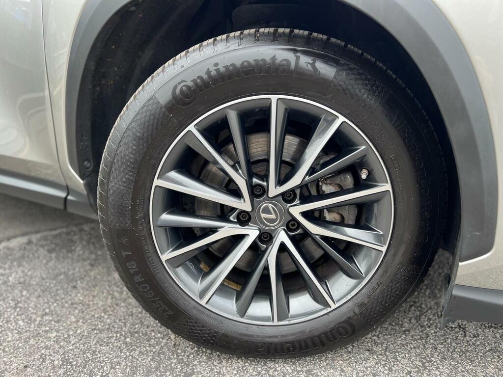 Lexus NX Suv Grey #31