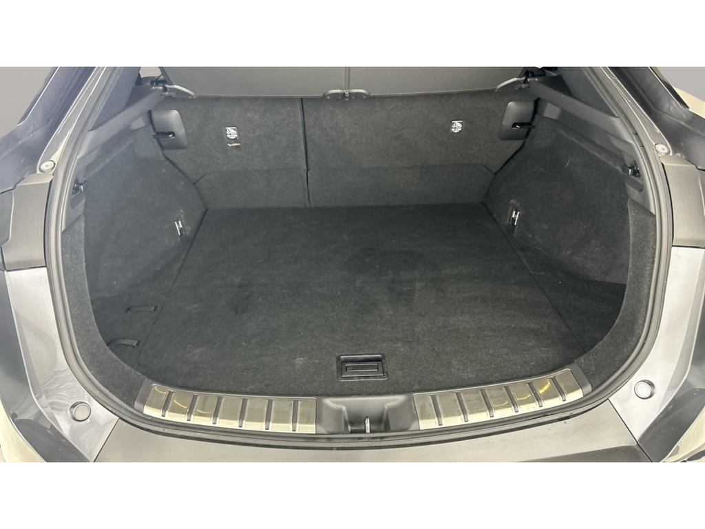 Lexus RZ Premium Plus Pack Black #19