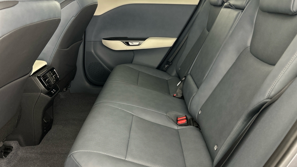 Lexus RZ Premium Plus Pack Black #18
