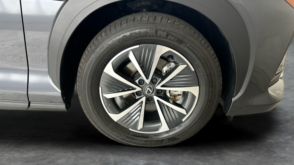 Lexus RZ Premium Plus Pack Black #21