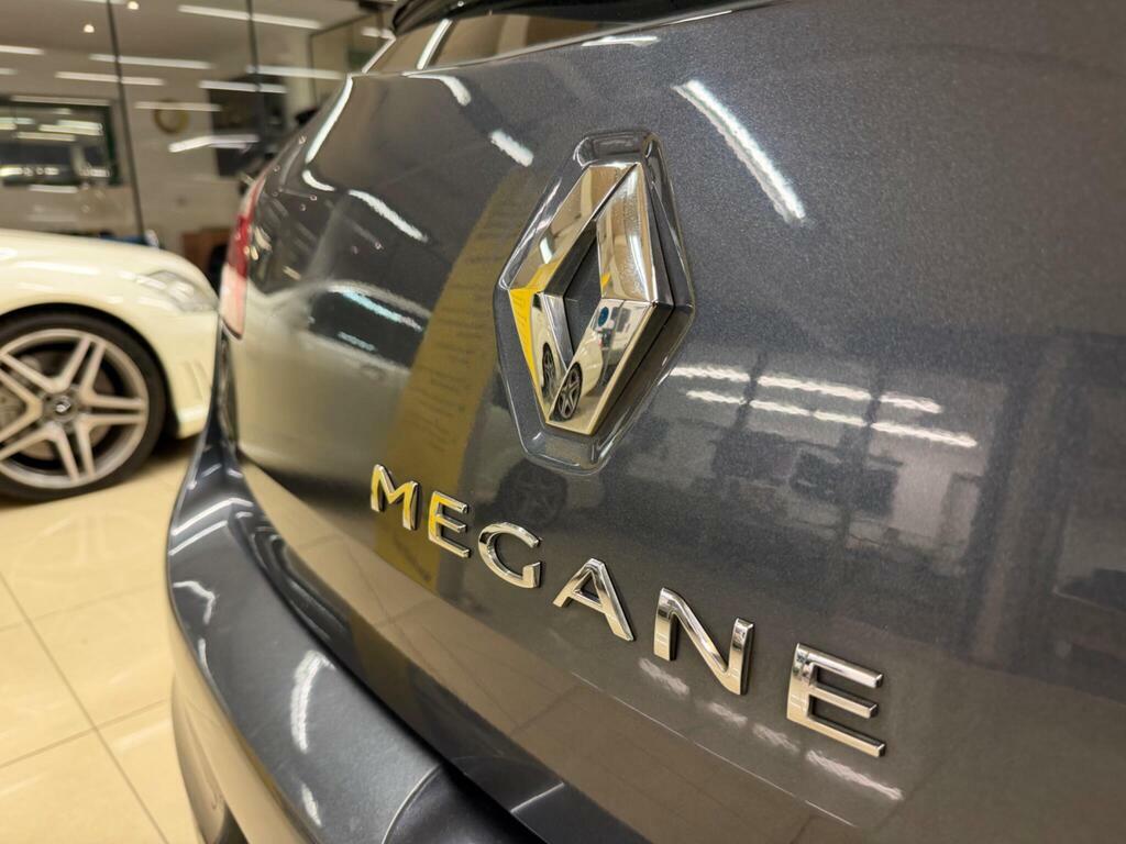 Renault Megane Expression Plus Silver #8