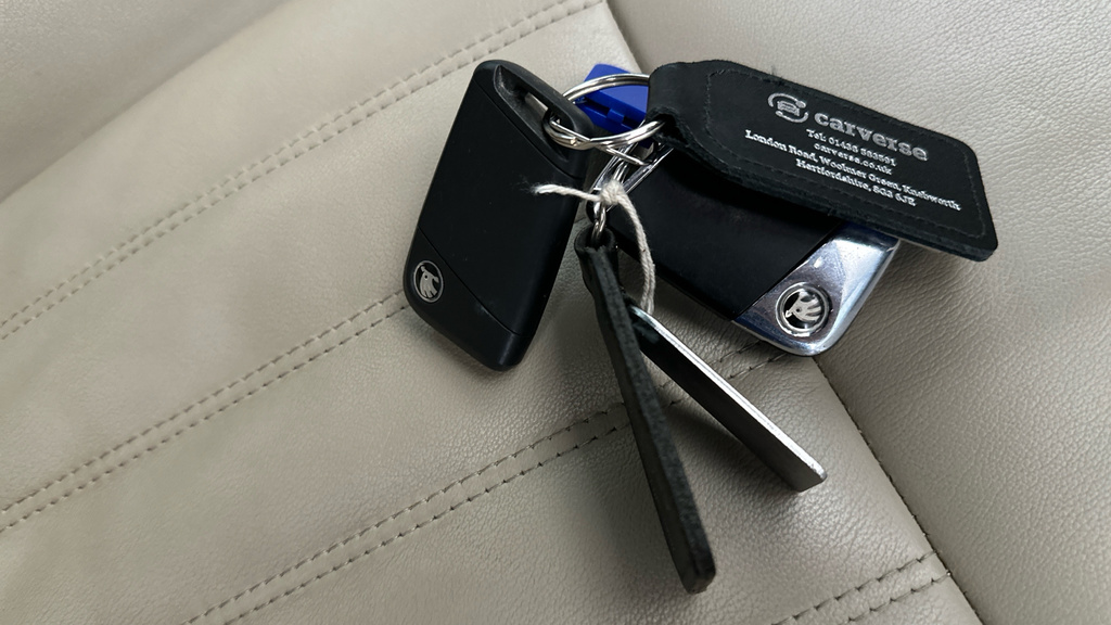Skoda Kodiaq Se L Grey #30
