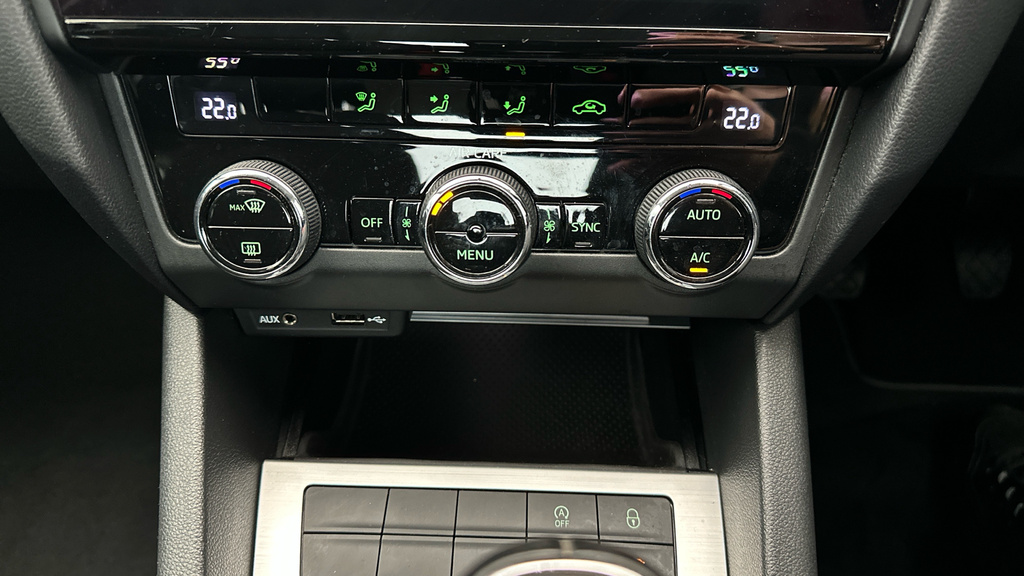 Skoda Octavia Blue #15