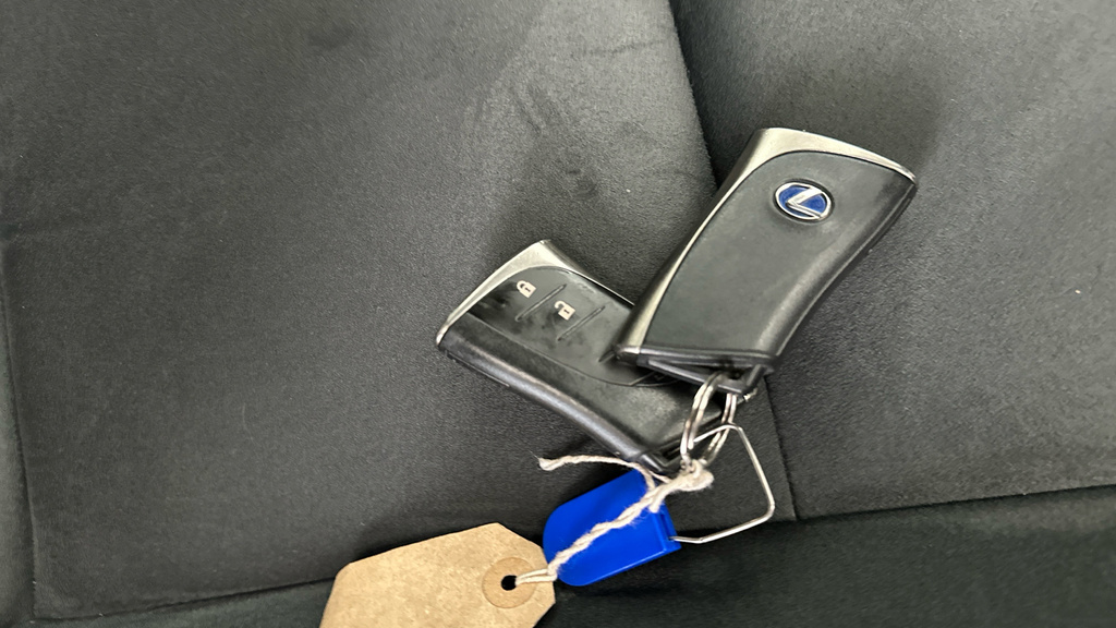 Lexus UX Premium Pack Red #28