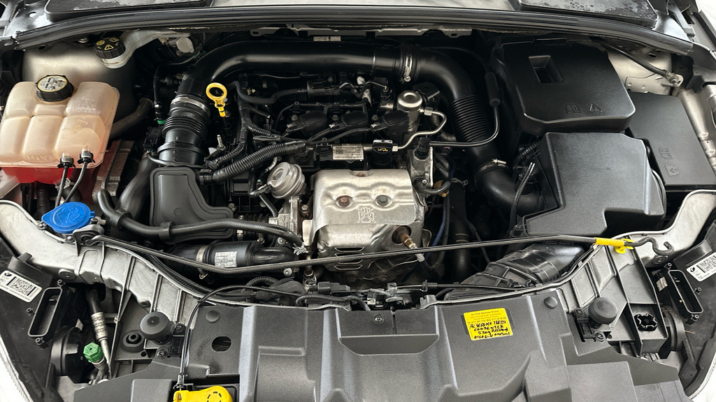 Ford Focus Black #21