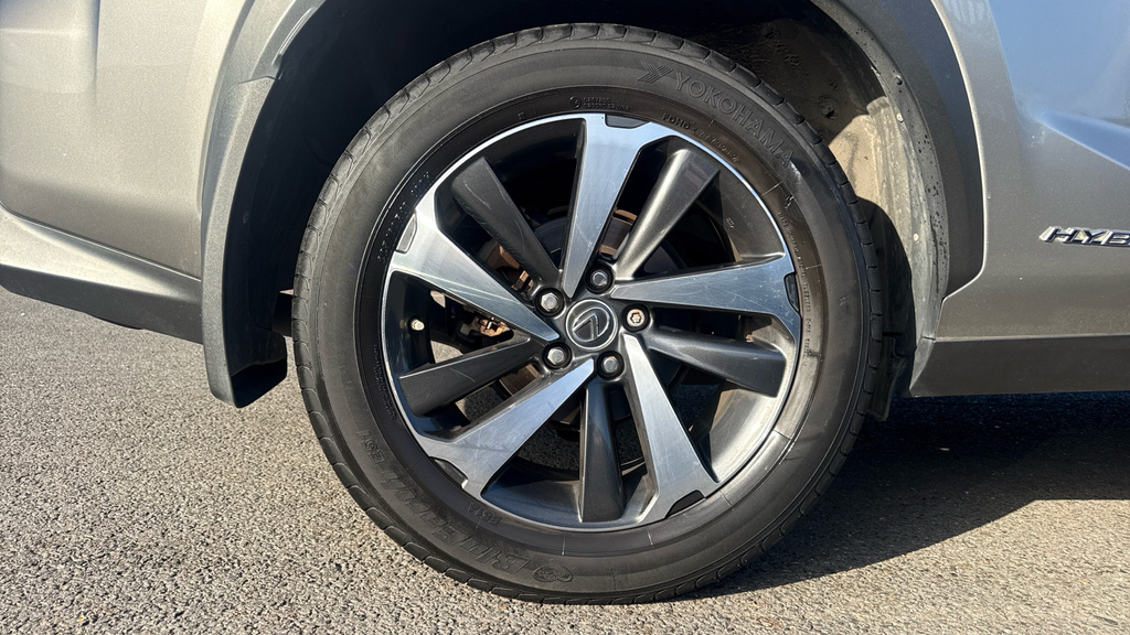 Lexus NX 300H Blue #19