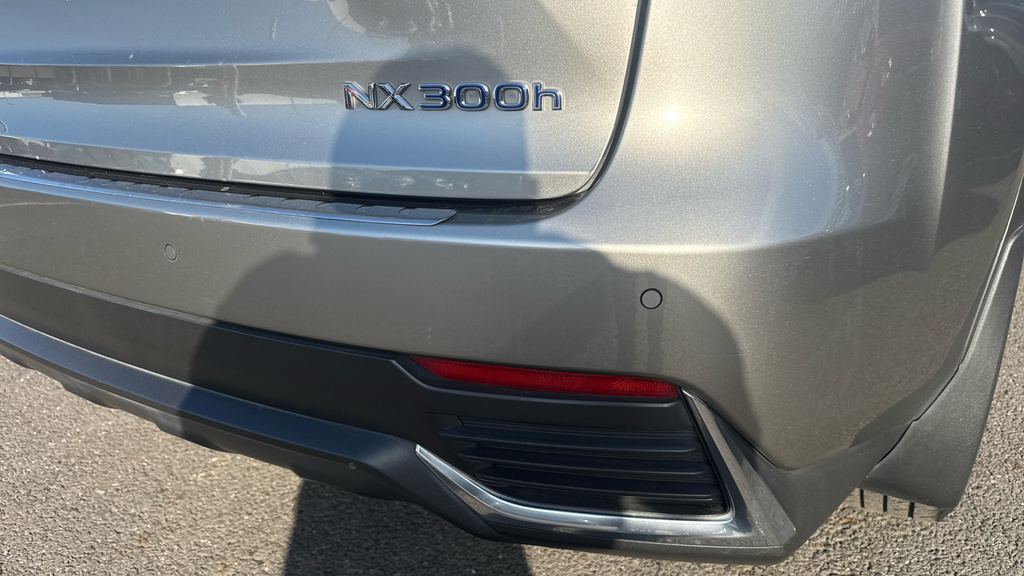 Lexus NX 300H Blue #21