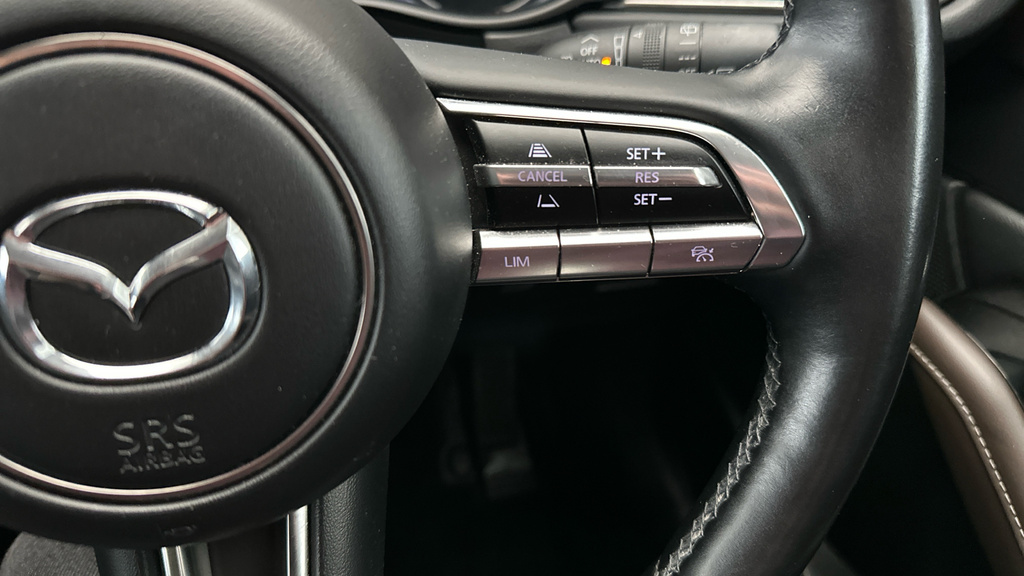 Mazda CX-30 Automatic Grey #15