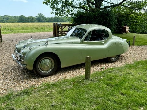 Jaguar XK 120 Coupe  #5