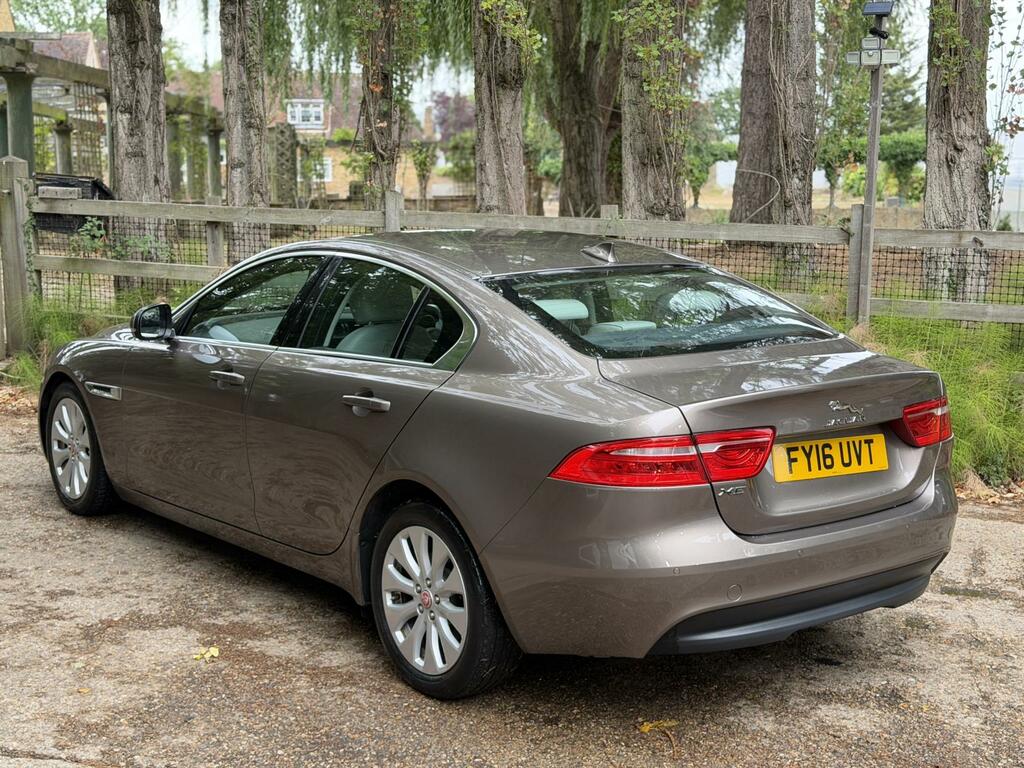 Jaguar XE  White #13