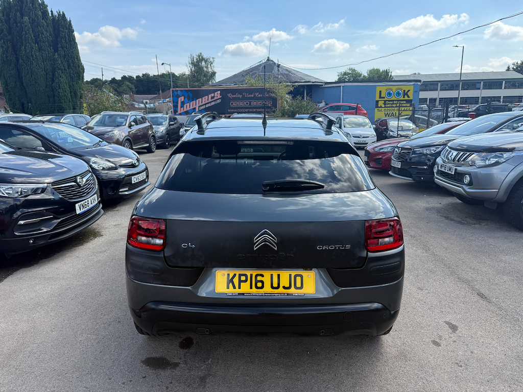Citroen C4 Cactus Bluehdi Flair  #5
