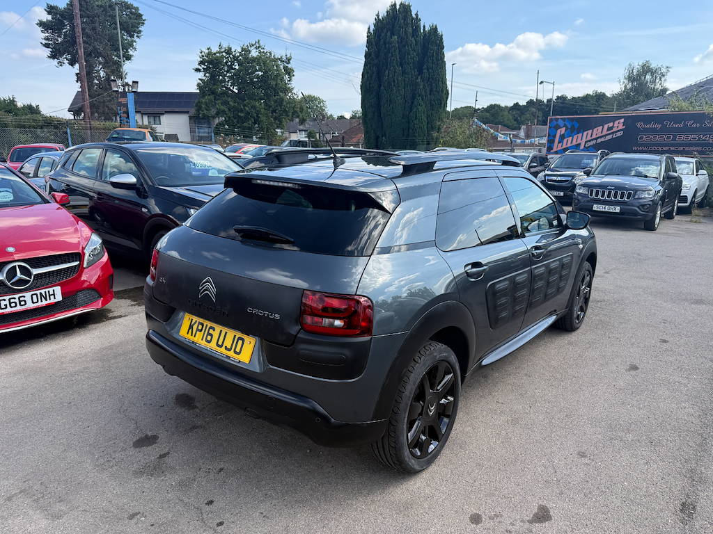 Citroen C4 Cactus Bluehdi Flair  #6