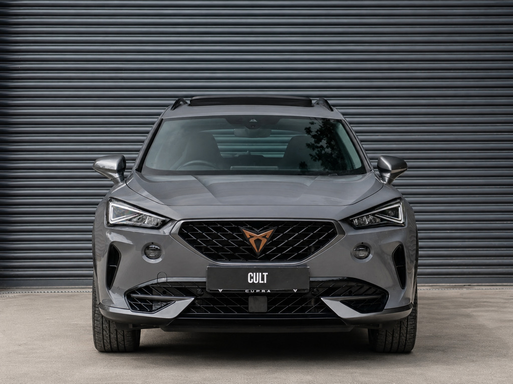 Cupra Formentor 2.0 Tsi Vz2 Suv Dsg 4Drive Euro 6 Ss Grey #2