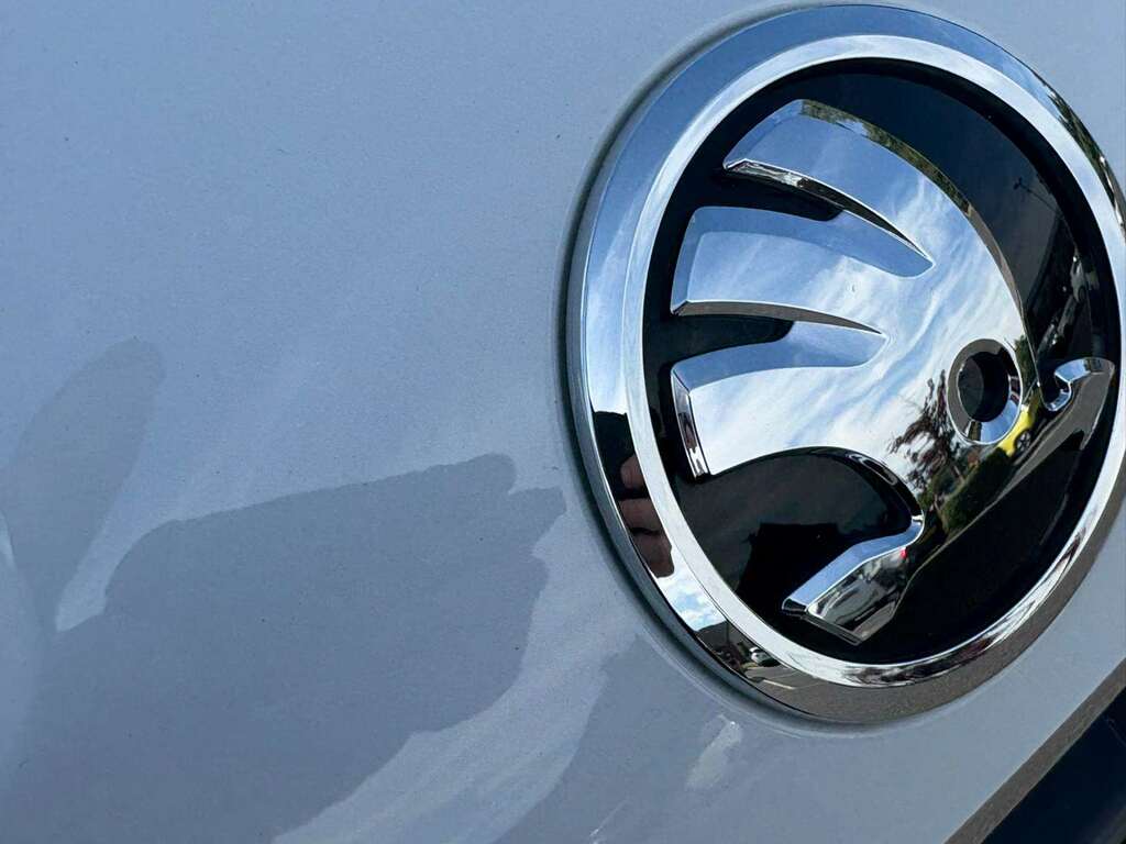 Skoda Karoq 1.0 Tsi 110 Se L White #21