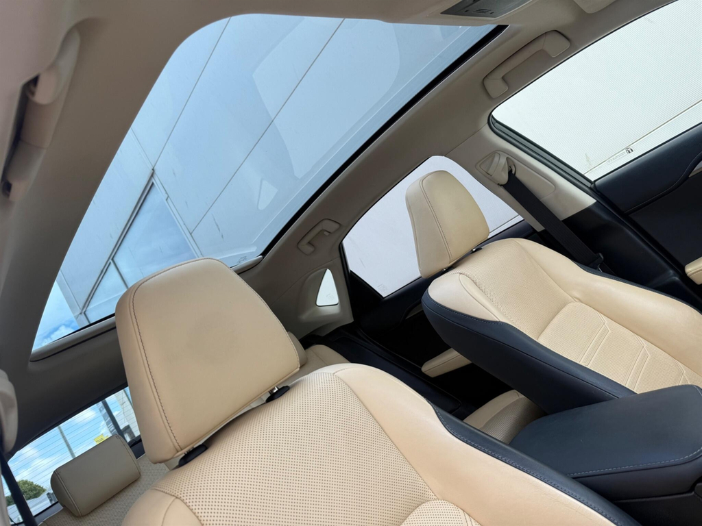 Lexus NX Luxury White #31