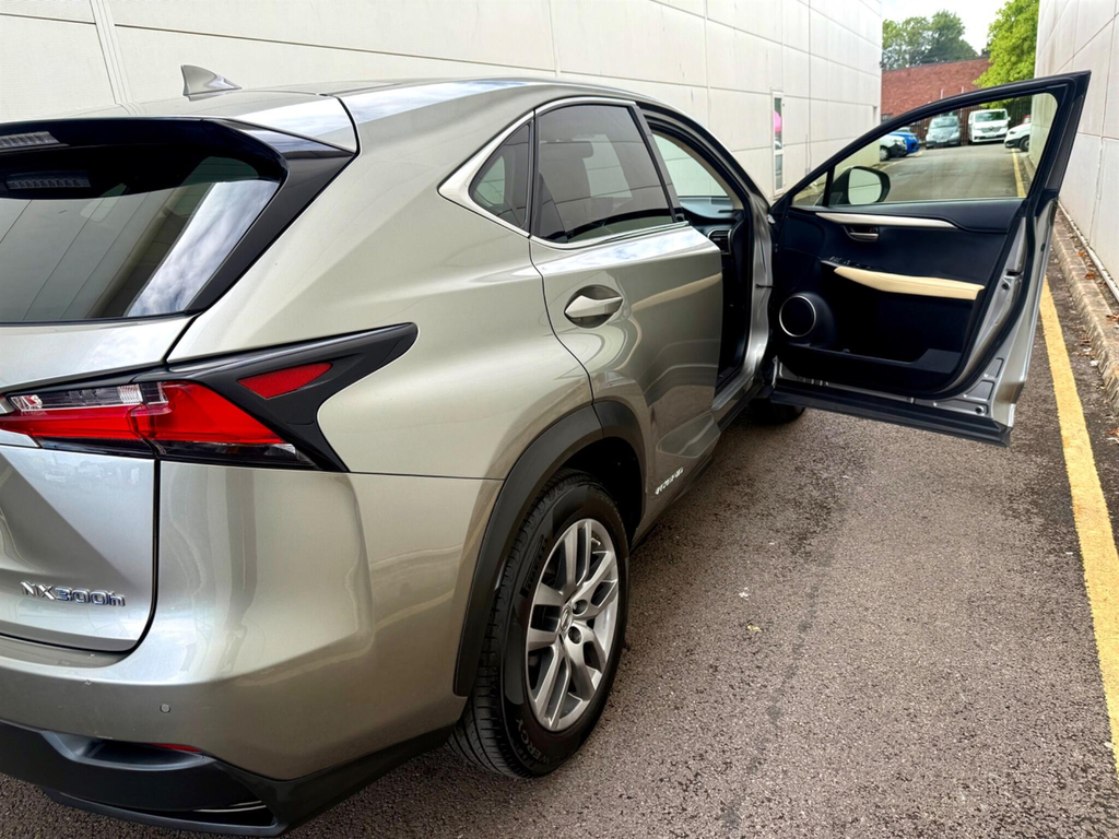 Lexus NX Luxury White #12