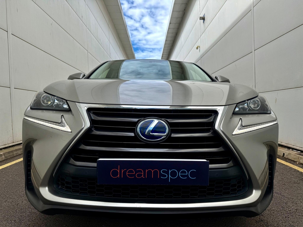 Lexus NX Luxury White #15