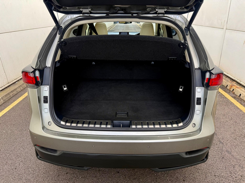 Lexus NX Luxury White #20