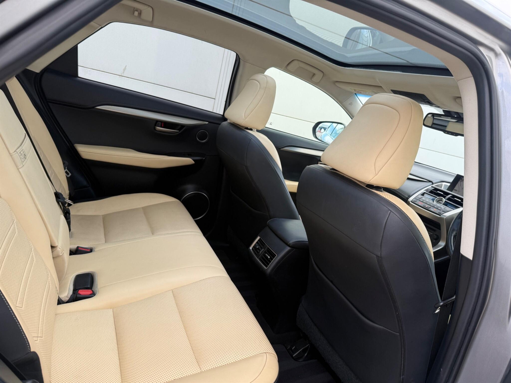 Lexus NX Luxury White #30