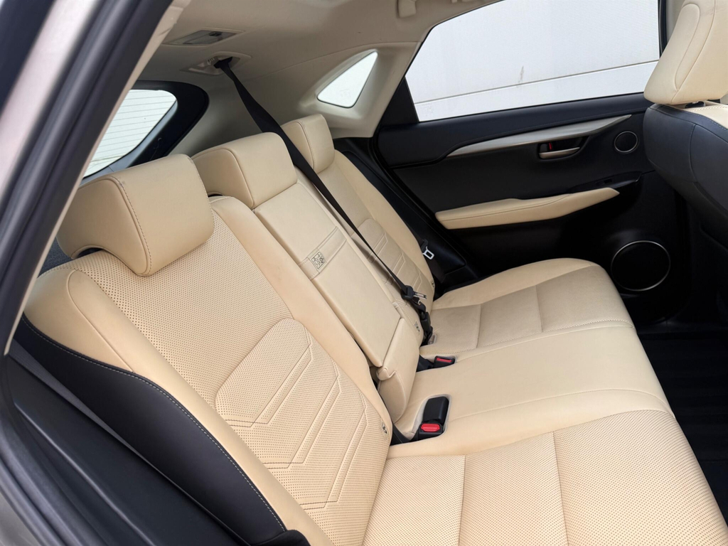Lexus NX Luxury White #23