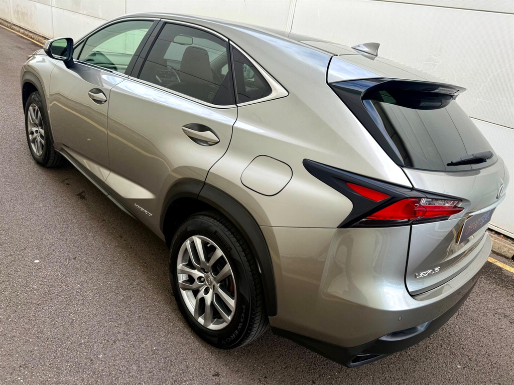 Lexus NX Luxury White #10