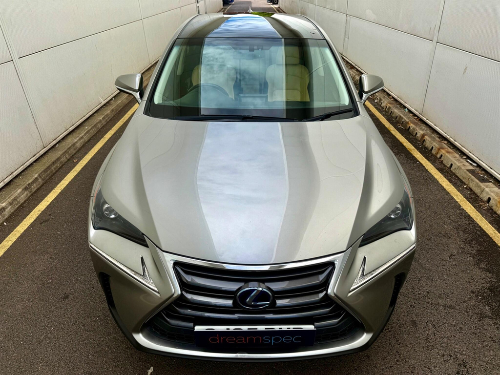 Lexus NX Luxury White #7