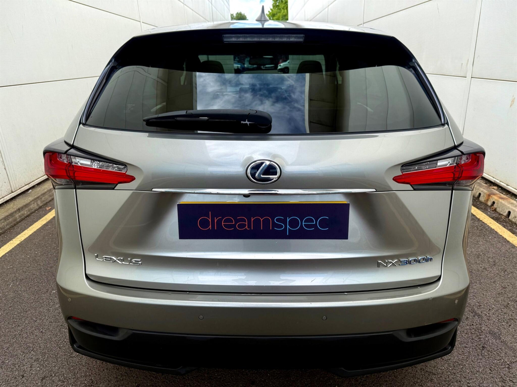 Lexus NX Luxury White #18