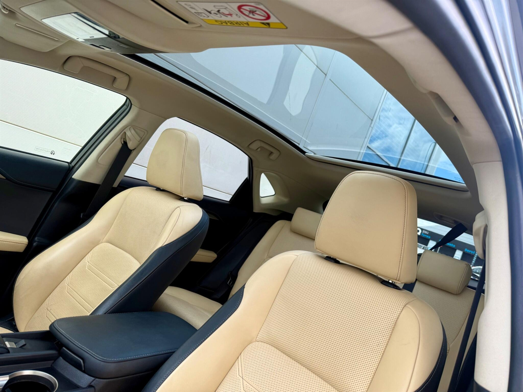 Lexus NX Luxury White #22