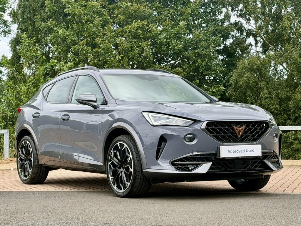 Cupra Formentor 2.0 Tsi 310 Vz3 Dsg 4Drive Grey