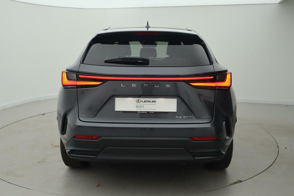 Lexus NX 350H 2.5 E-cvt Grey #6
