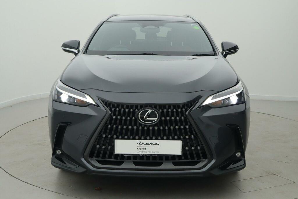Lexus NX 350H 2.5 E-cvt Grey #2