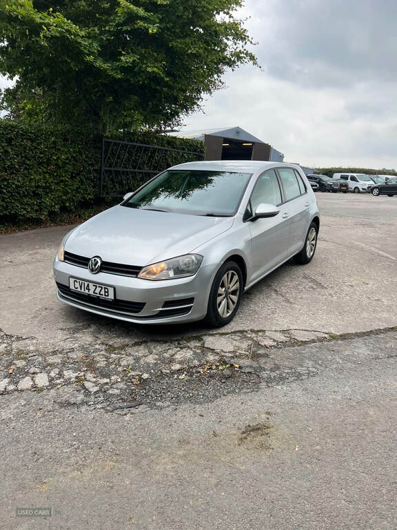 Volkswagen Golf 1.6 Tdi 105 Se Silver