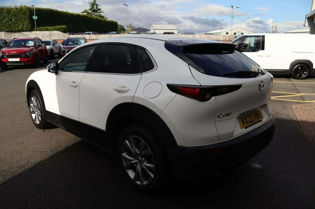 Mazda CX-30 Automatic Grey #10