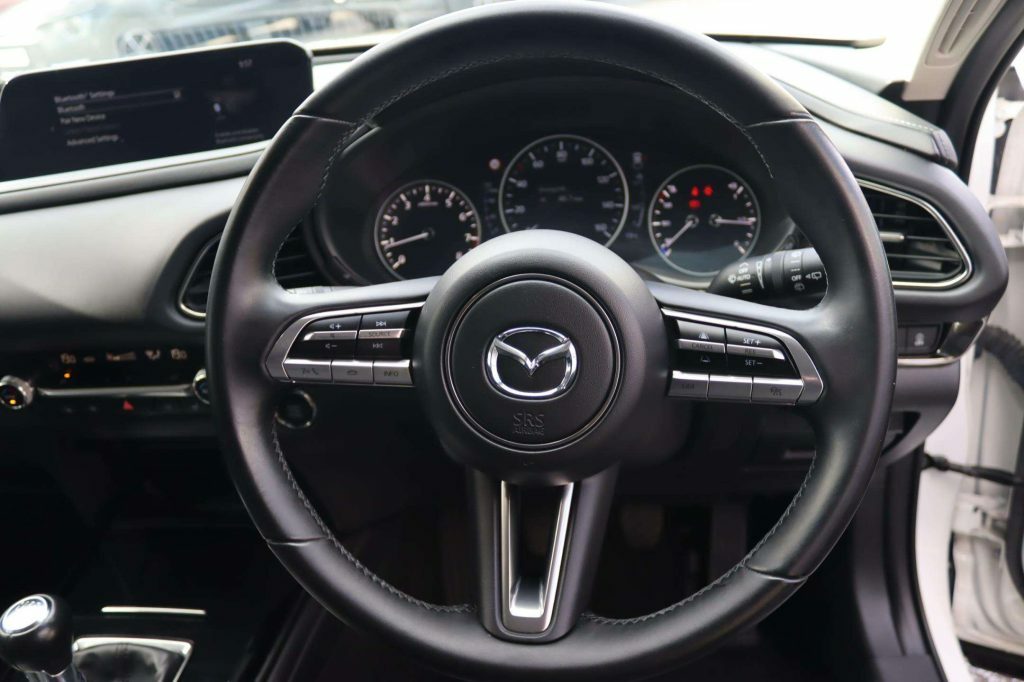 Mazda CX-30 Automatic Grey #19