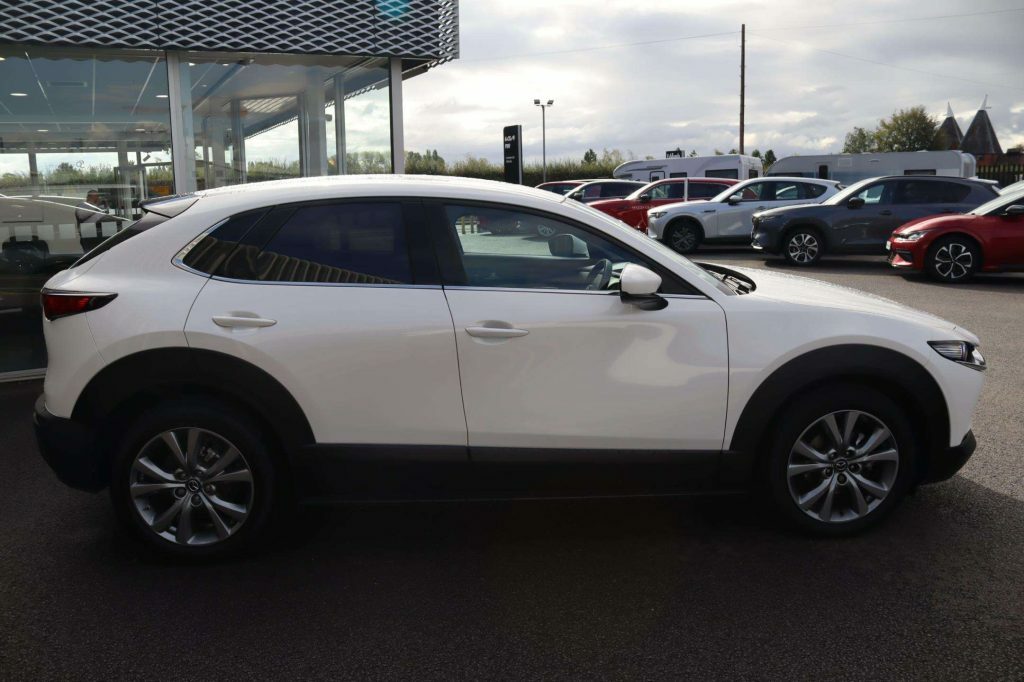 Mazda CX-30 Automatic Grey #15