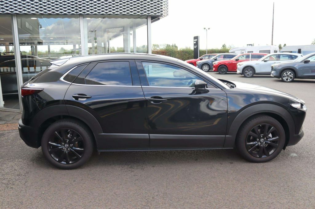 Mazda CX-30 Prime-line Grey #15