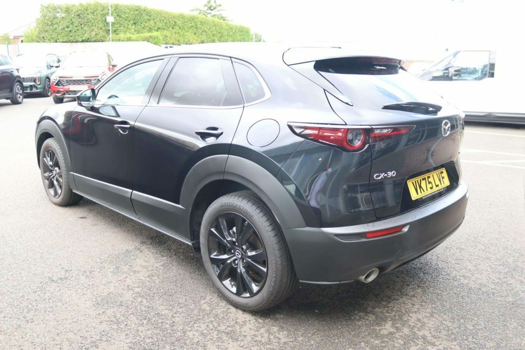 Mazda CX-30 Prime-line Grey #10