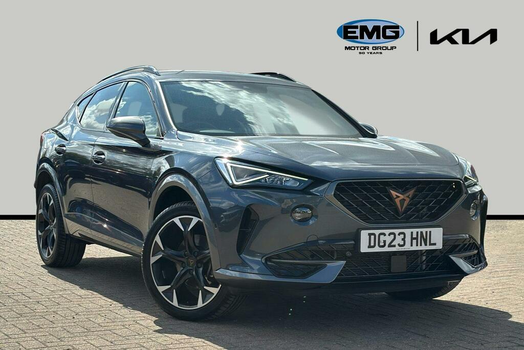 Cupra Formentor 2.0 Tsi V2 Suv Dsg 4Drive Ss Grey
