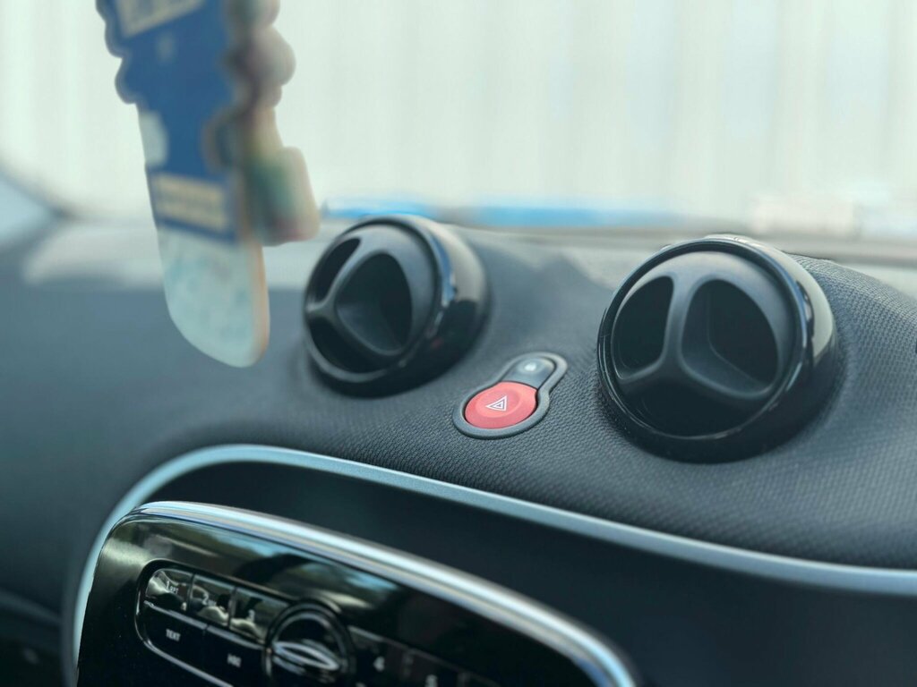 Smart Fortwo Proxy Blue #30